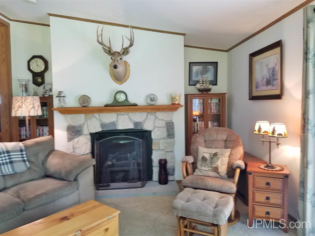 W15644 Sandtown Road Curtis, MI 49820 - Photo 5 of 39