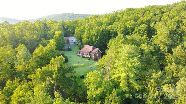 a view of a yard with plants