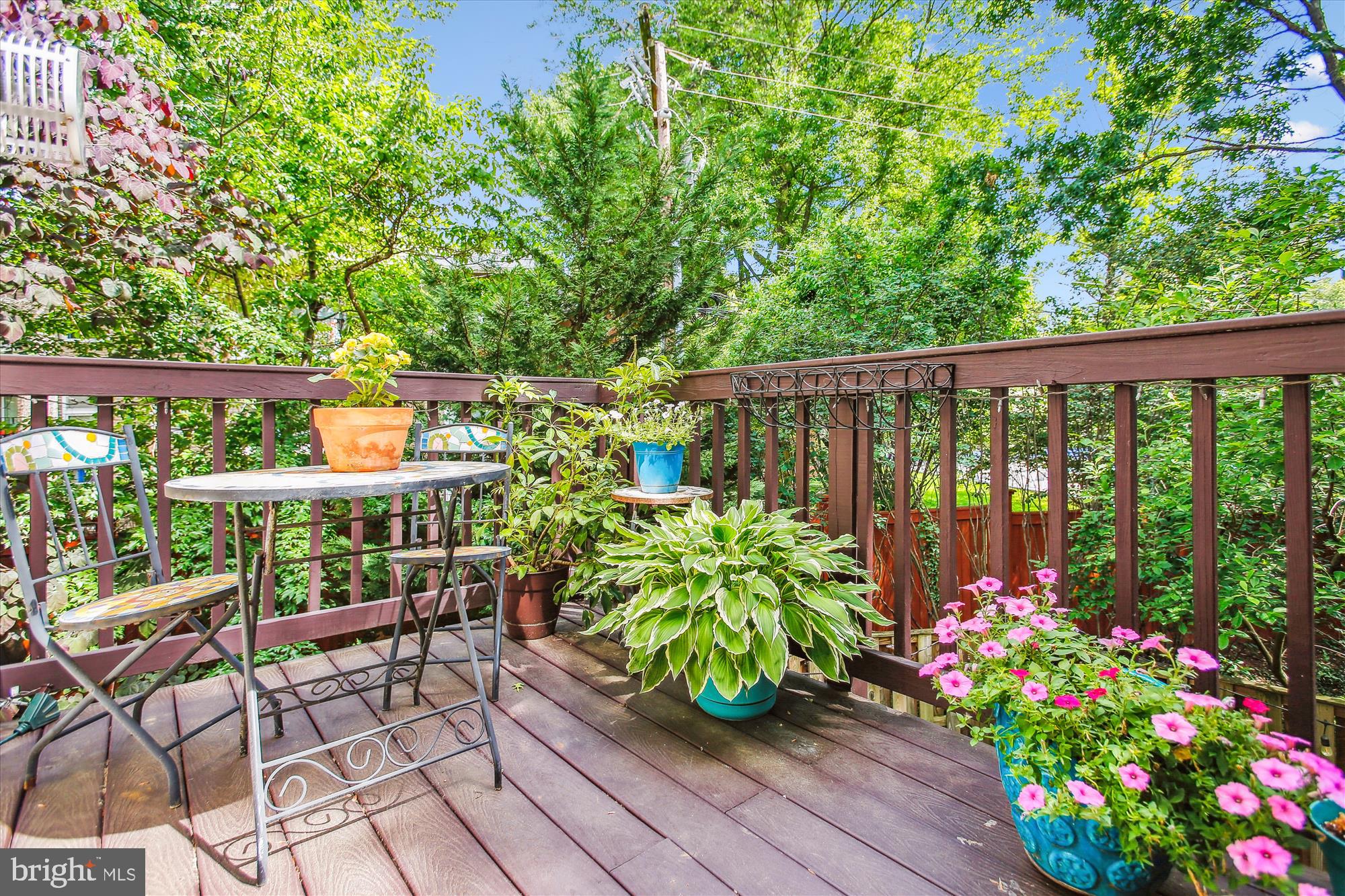 135 Rees Place Falls Church, VA 22046 - Photo 54 of 91