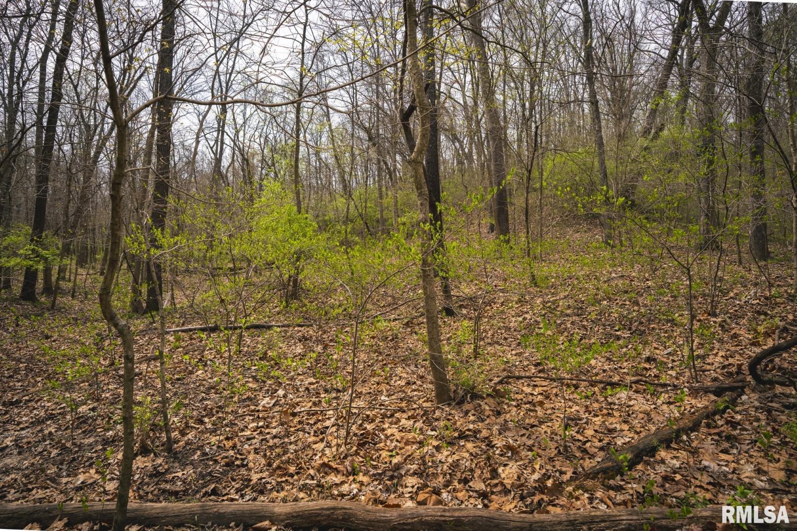 17157 Liberty Road Grafton, IL 62037 - Photo 40 of 50 Gallery Image 40