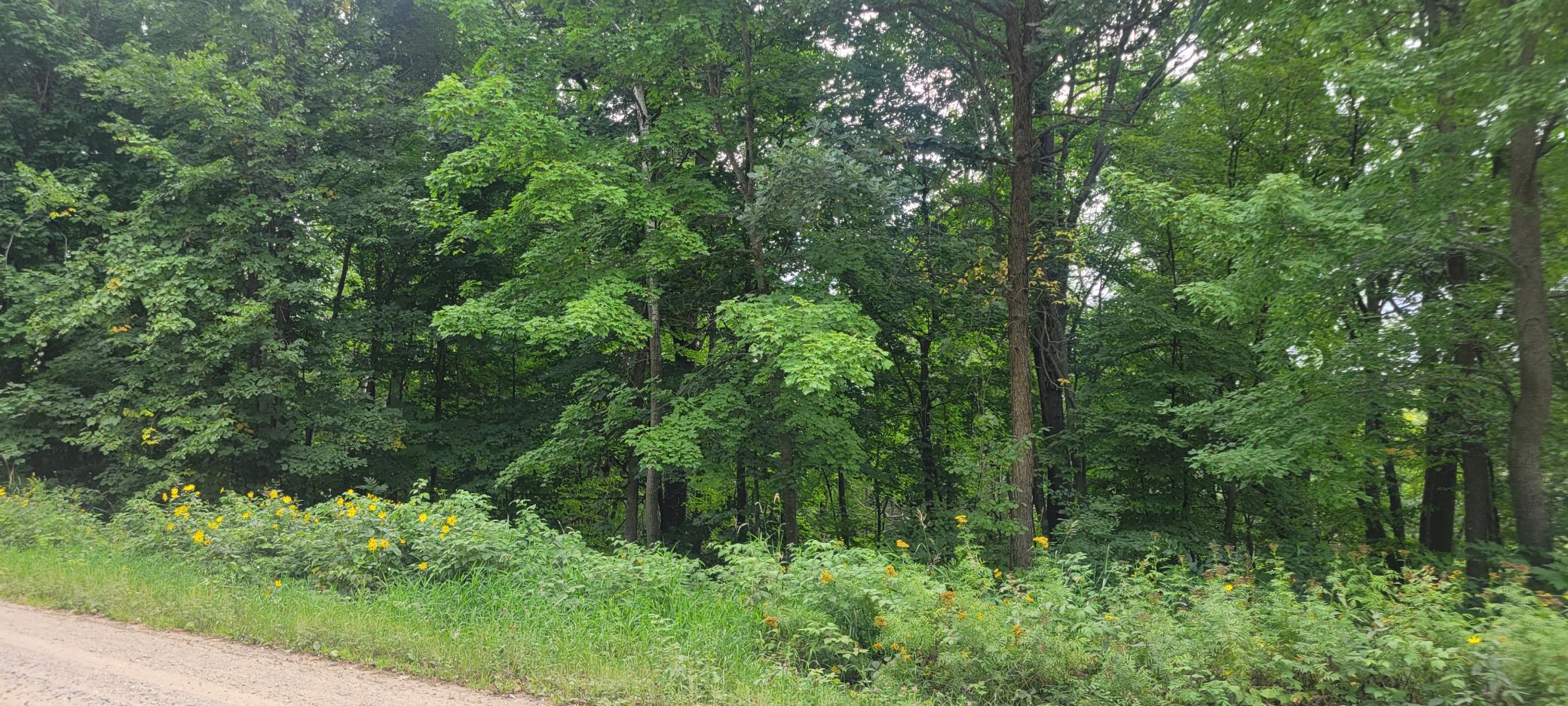 Tbd Cedar Road Cushing, MN 56443 - Photo 7 of 14 Gallery Image 7