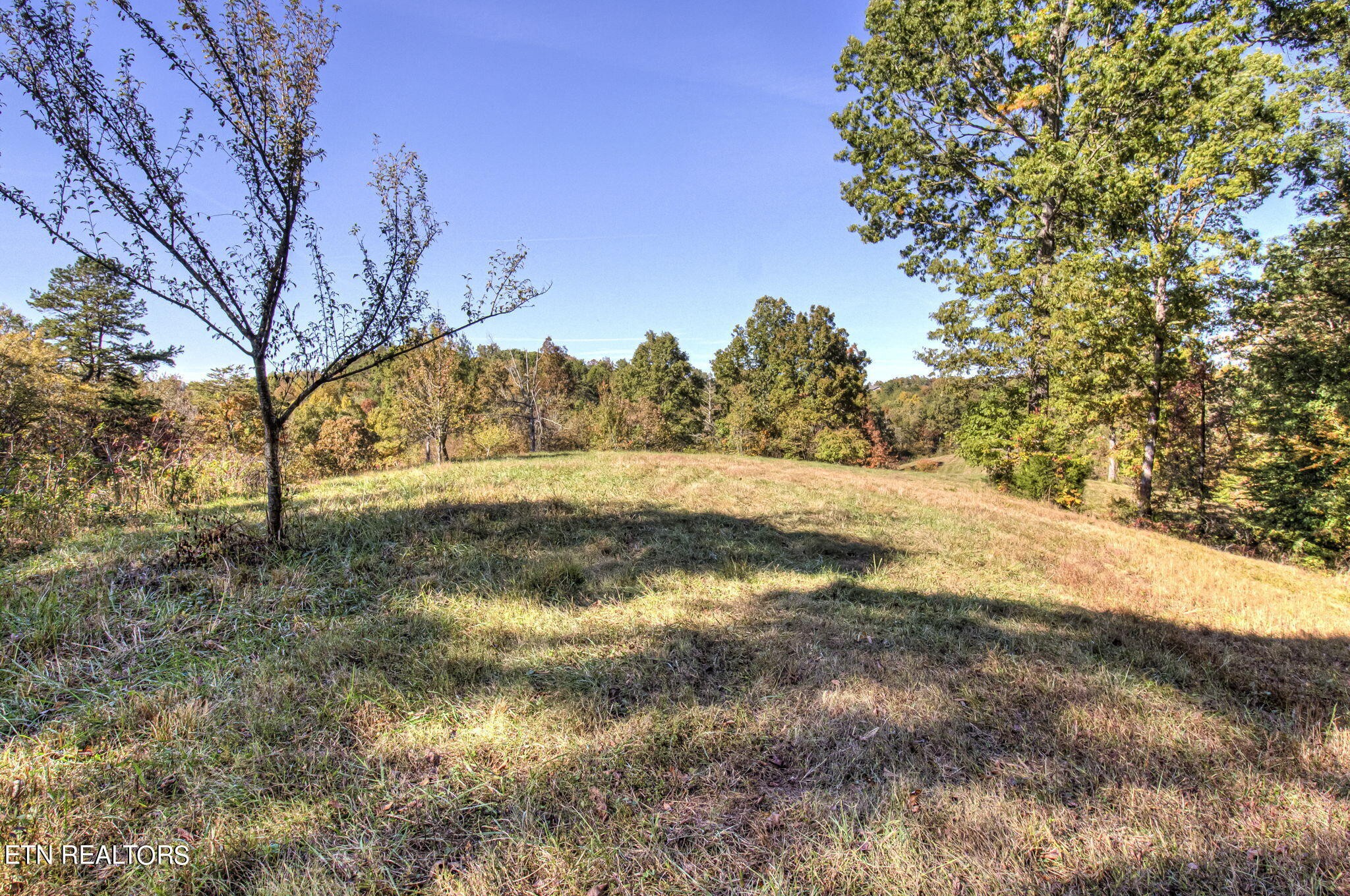 500 Old Citico Road Vonore, TN 37885 - Photo 41 of 53 Gallery Image 41