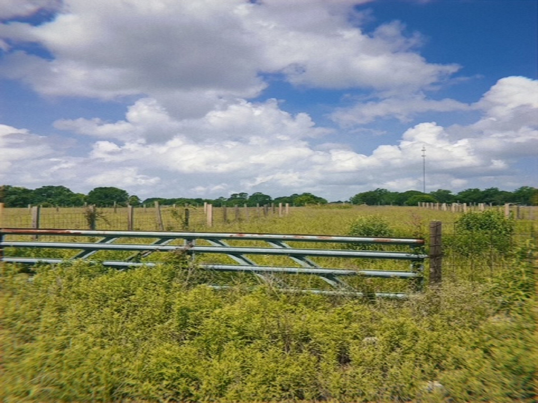 0 North 5th Street Hempstead, TX 77445 - Photo 6 of 21