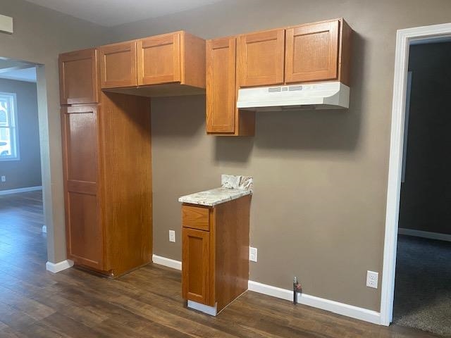 509 West Erie Street Spring Valley, IL 61362 - Photo 7 of 19 a view of walk in closet with empty racks