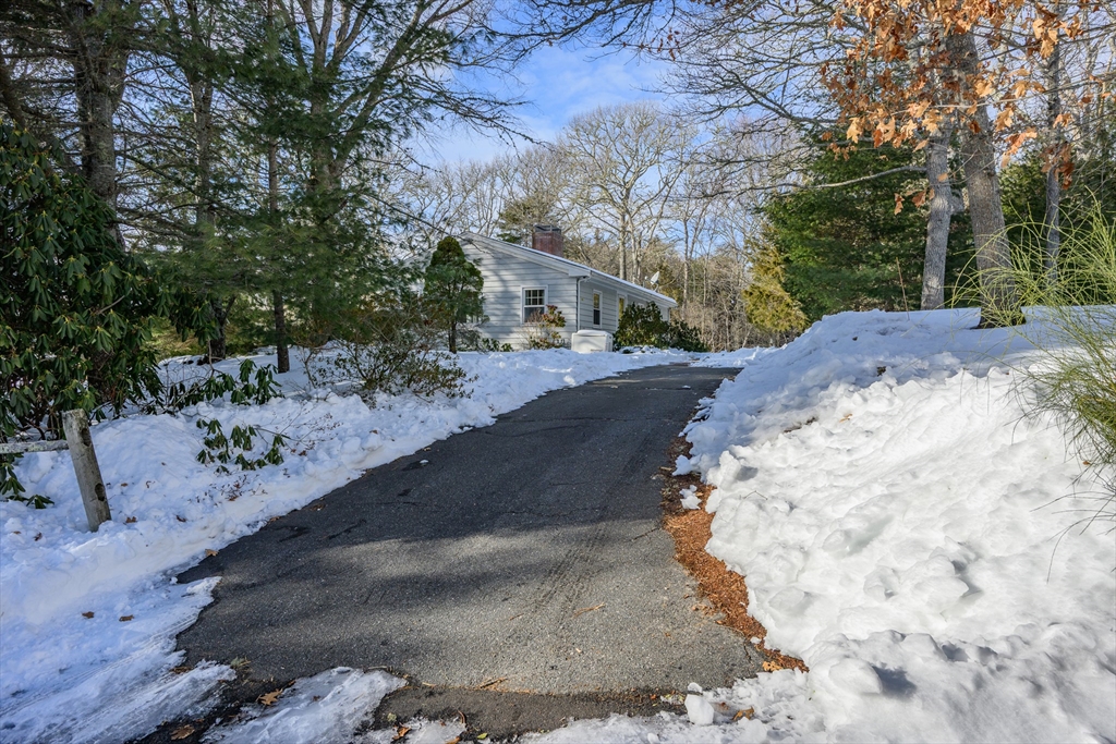 103 Pine Tree Drive Barnstable, MA 02632 - Photo 41 of 42 a view of a backyard