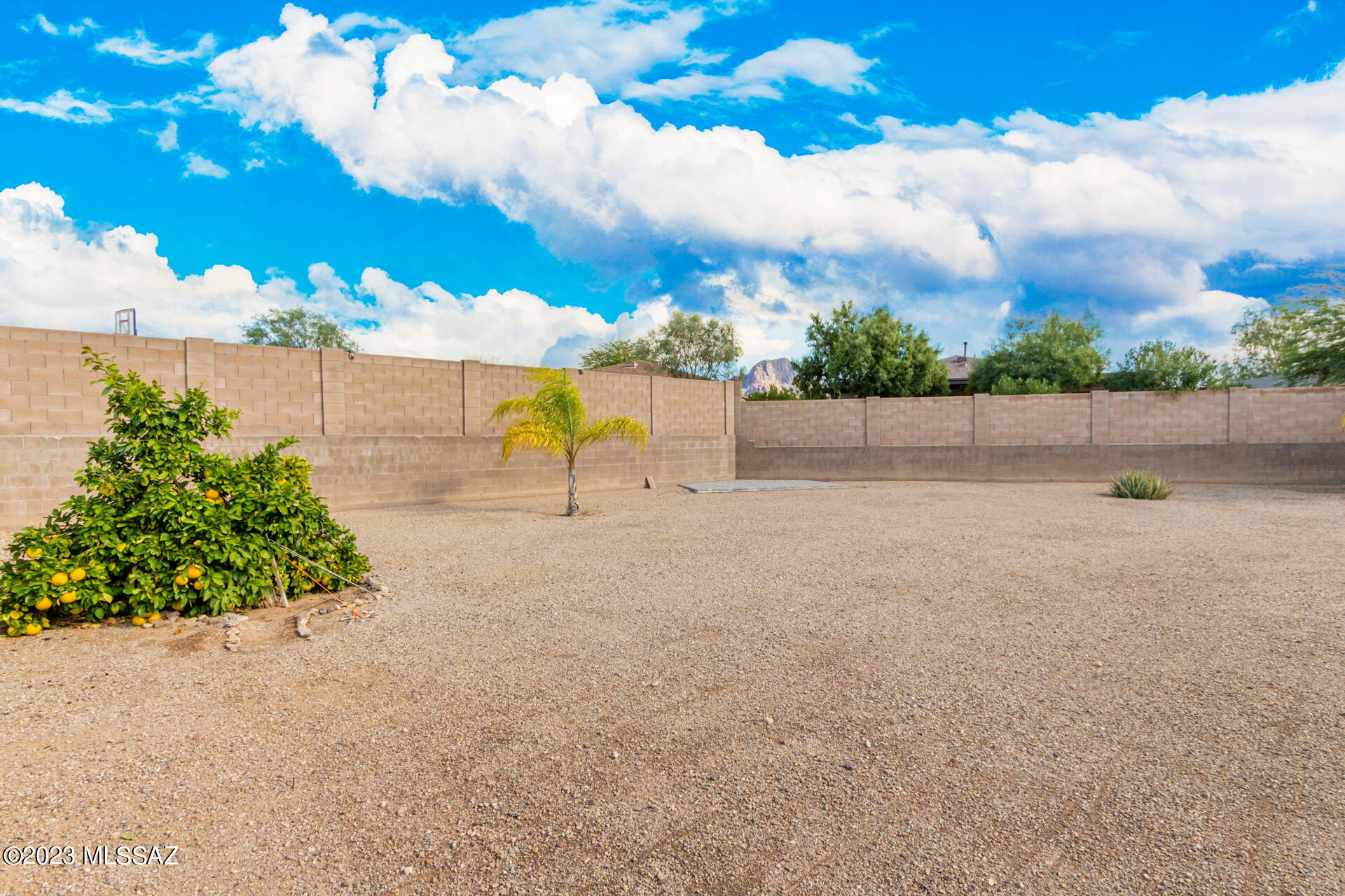 3499 South Double Echo Road Tucson, AZ 85735 - Photo 23 of 23
