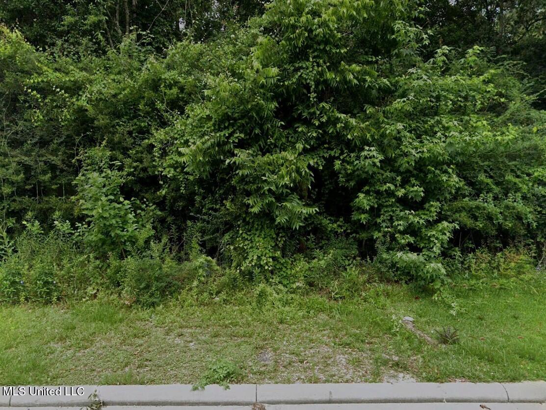 10325 Canal Road Gulfport, MS 39503 - Photo 1 of 1 Vacant Land