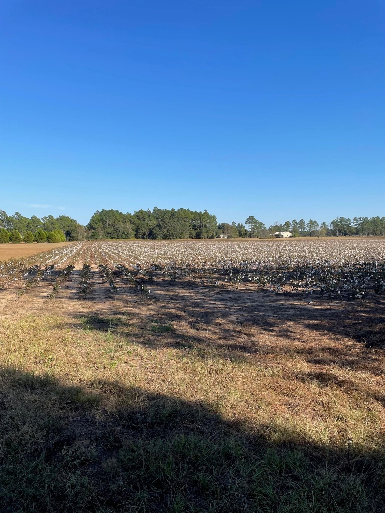 0 Glass And Spivey Road Robertsdale, AL 36567 - Photo 1 of 10