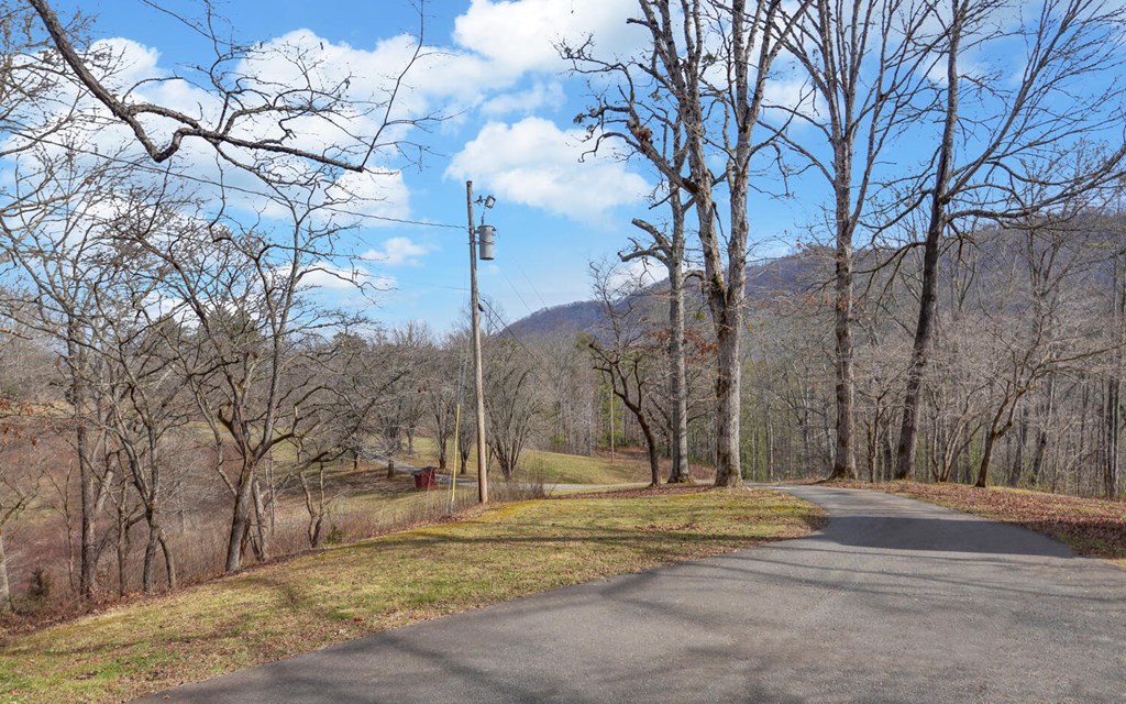 205 Goldie Garrett Road Marble, NC 28905 - Photo 45 of 60 Gallery Image 45
