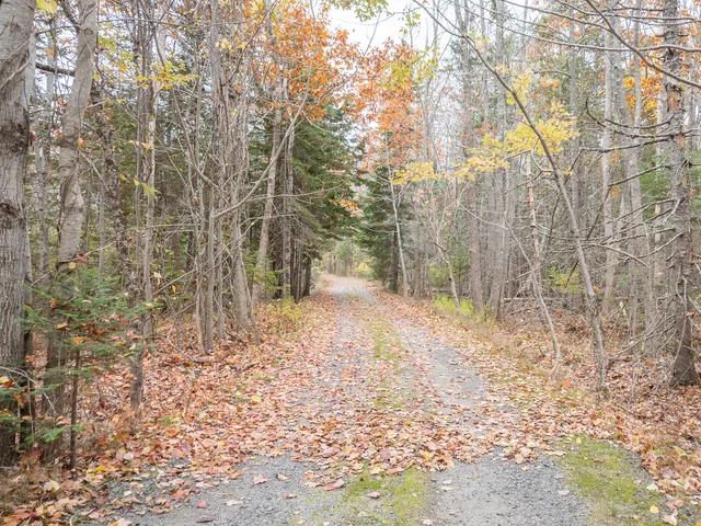 $1,700,000 | 71 Bay View Drive, Bar Harbor, ME 04609