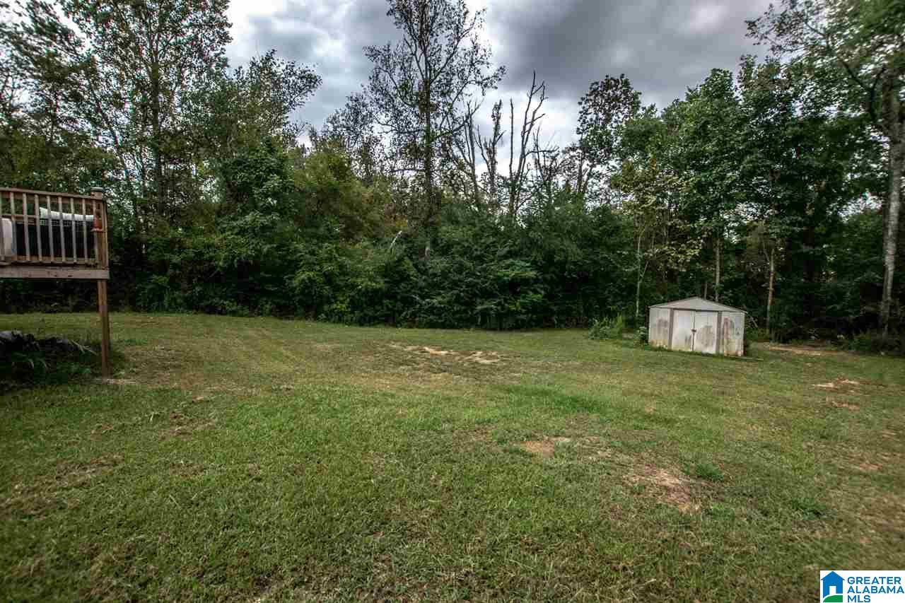 102 Wet Cat Road Hayden, AL 35079 - Photo 42 of 44