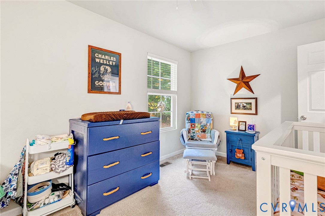 205 Clinton Drive Ruther Glen, VA 22546 - Photo 24 of 44