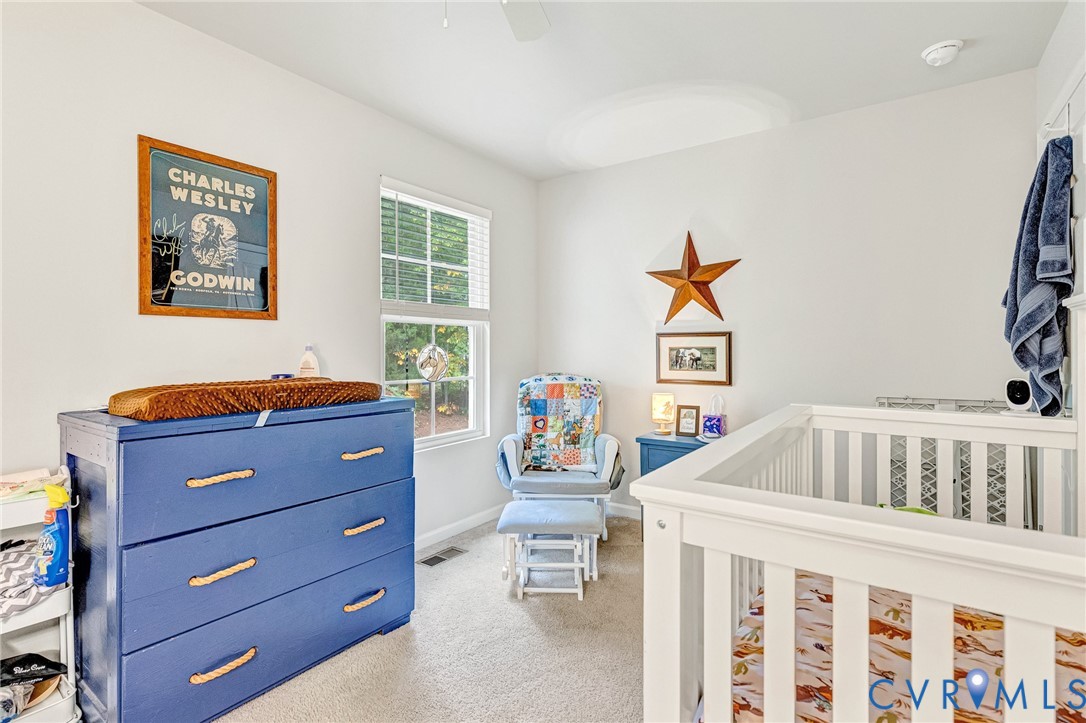 205 Clinton Drive Ruther Glen, VA 22546 - Photo 25 of 44