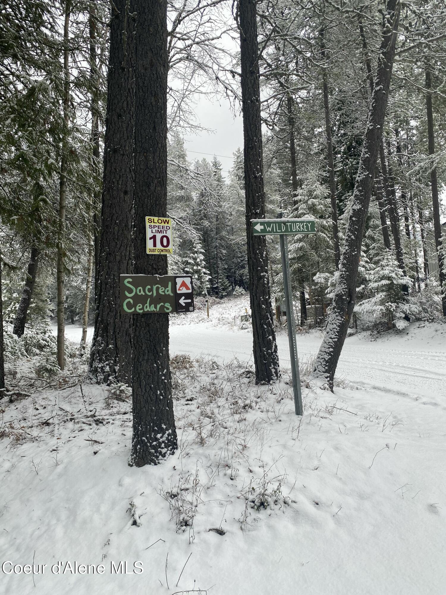 Rogers Road Sandpoint, ID 83864 - Photo 27 of 37 IMG_6788