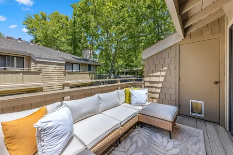 a view of a patio with couches and a potted plant on a table