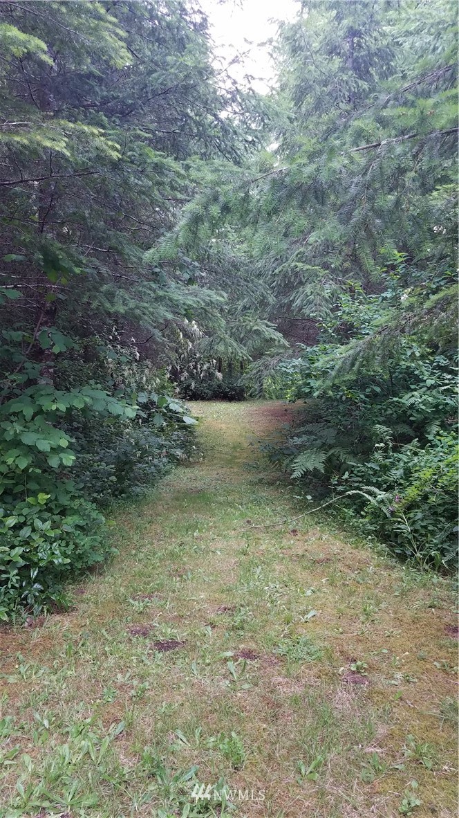 109 South Union Road Elma, WA 98541 - Photo 14 of 20