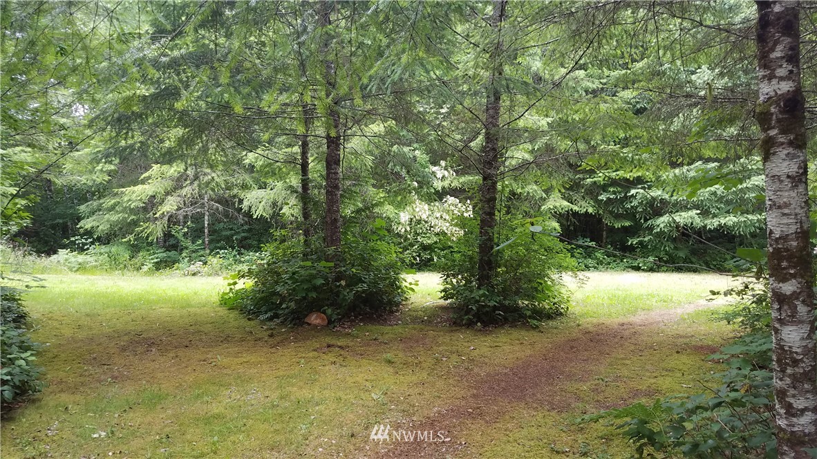 109 South Union Road Elma, WA 98541 - Photo 15 of 20