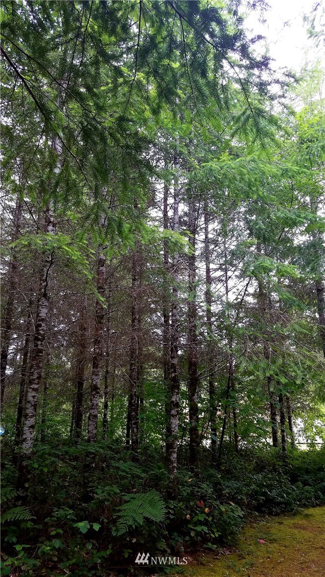 109 South Union Road Elma, WA 98541 - Photo 16 of 20