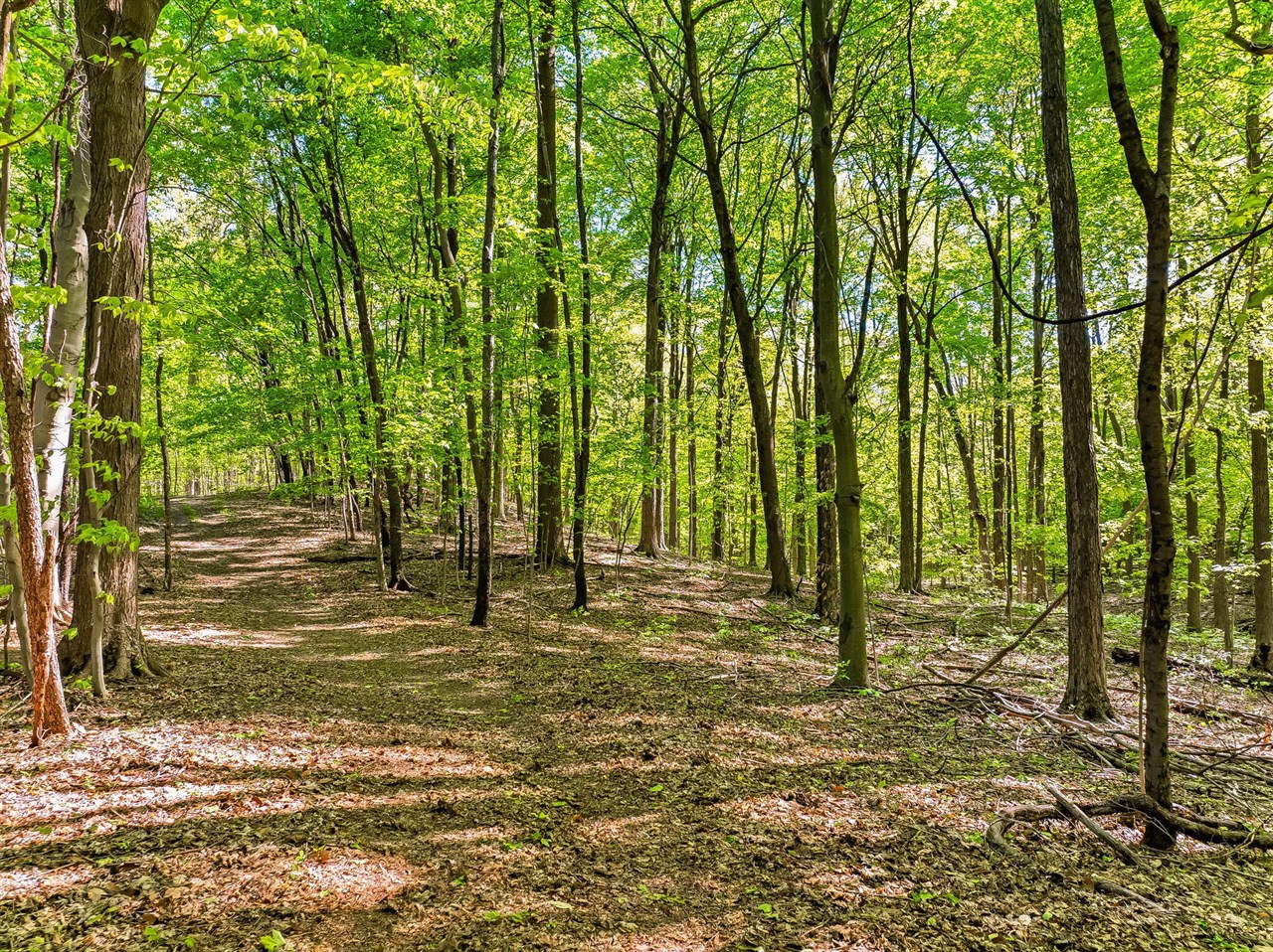 2099 East Clear Lake Road Buchanan, MI 49107 - Photo 56 of 65