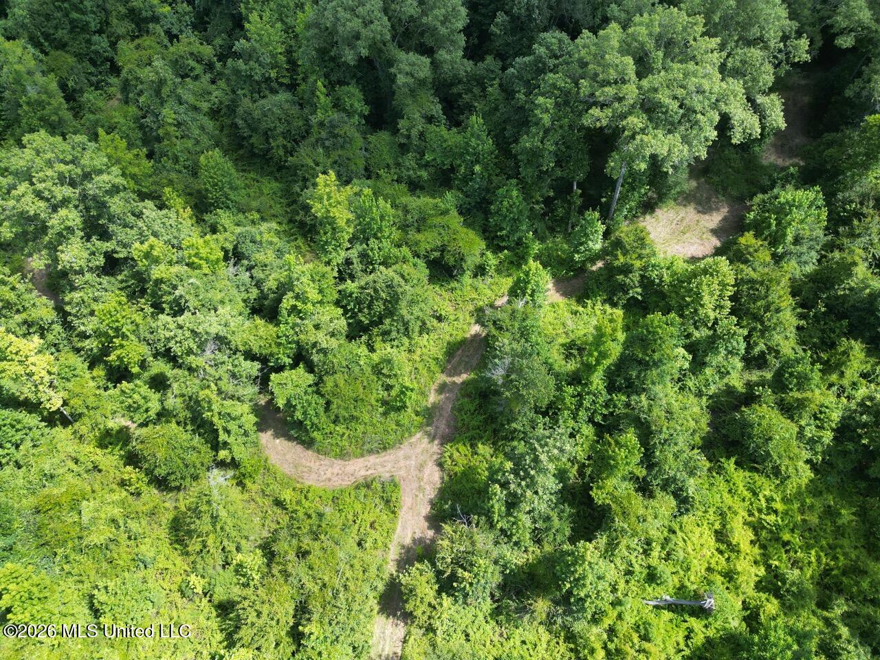 Pam Road Aimwell, LA 71401 - Photo 11 of 38 DJI_0450 Large