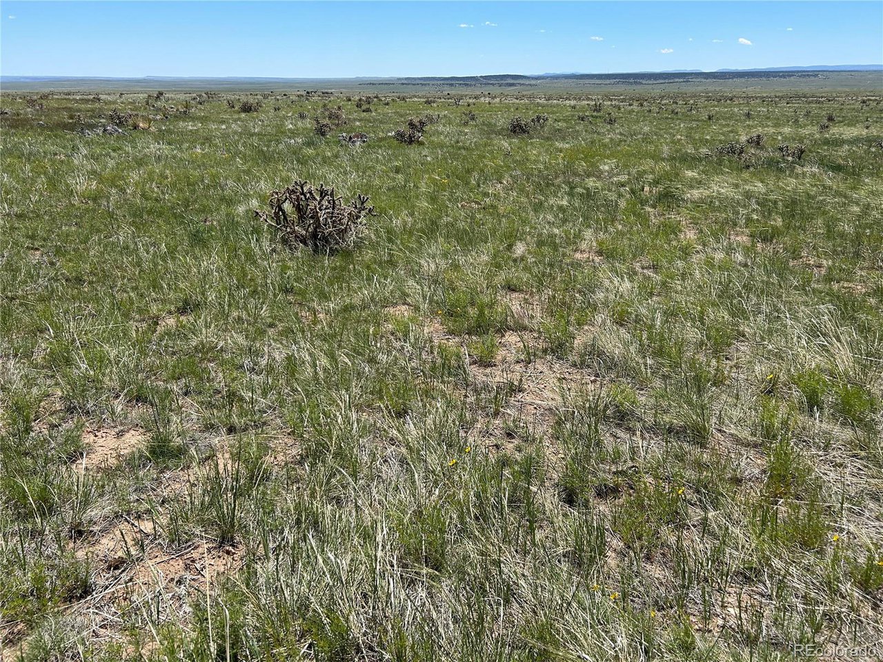 126 Cl&l Ranch, Unit G Rye, CO 81069 - Photo 11 of 16 a view of an outdoor space and a mountain view
