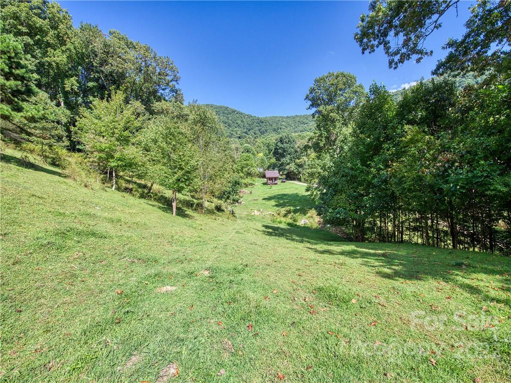 421 Bunny Run Road Canton, NC 28716 - Photo 23 of 48 Gallery Image 23