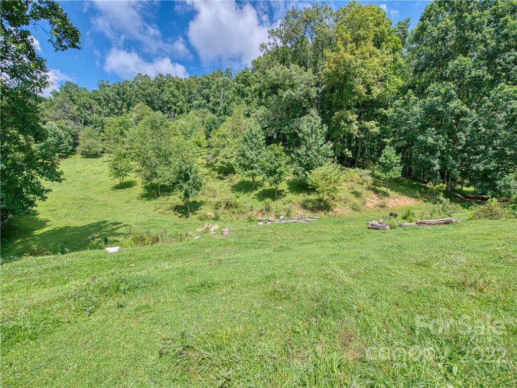 421 Bunny Run Road Canton, NC 28716 - Photo 42 of 48 Gallery Image 42