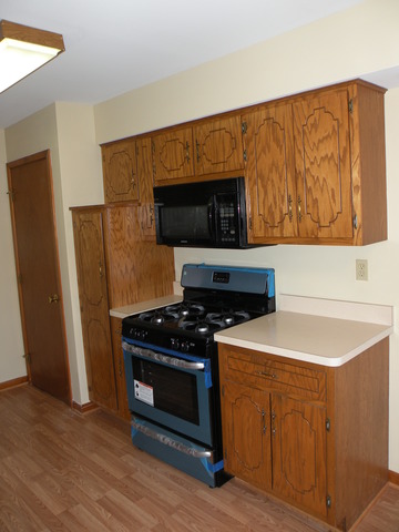 250 Circlegate Road, Unit 250 New Lenox, IL 60451 - Photo 11 of 25 a kitchen with stainless steel appliances a stove a microwave and a refrigerator