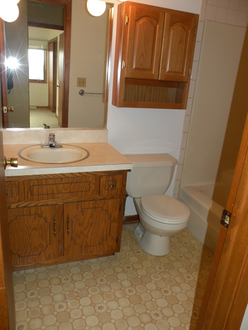250 Circlegate Road, Unit 250 New Lenox, IL 60451 - Photo 19 of 25 a bathroom with a sink and a toilet