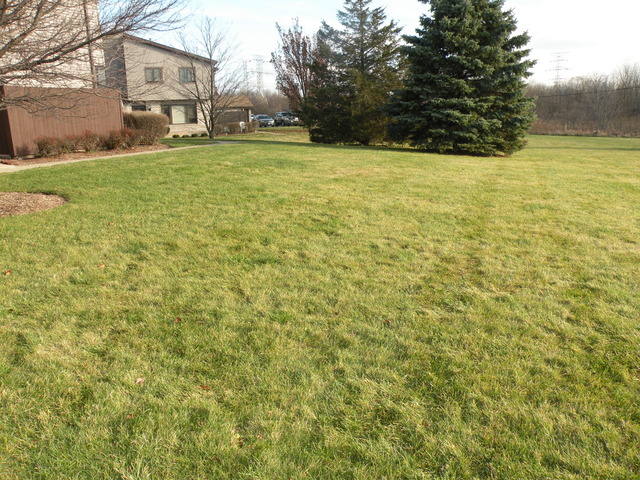 250 Circlegate Road, Unit 250 New Lenox, IL 60451 - Photo 23 of 25 a view of outdoor space and yard