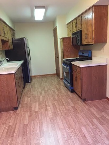 250 Circlegate Road, Unit 250 New Lenox, IL 60451 - Photo 10 of 25 a kitchen with wooden cabinets and a sink