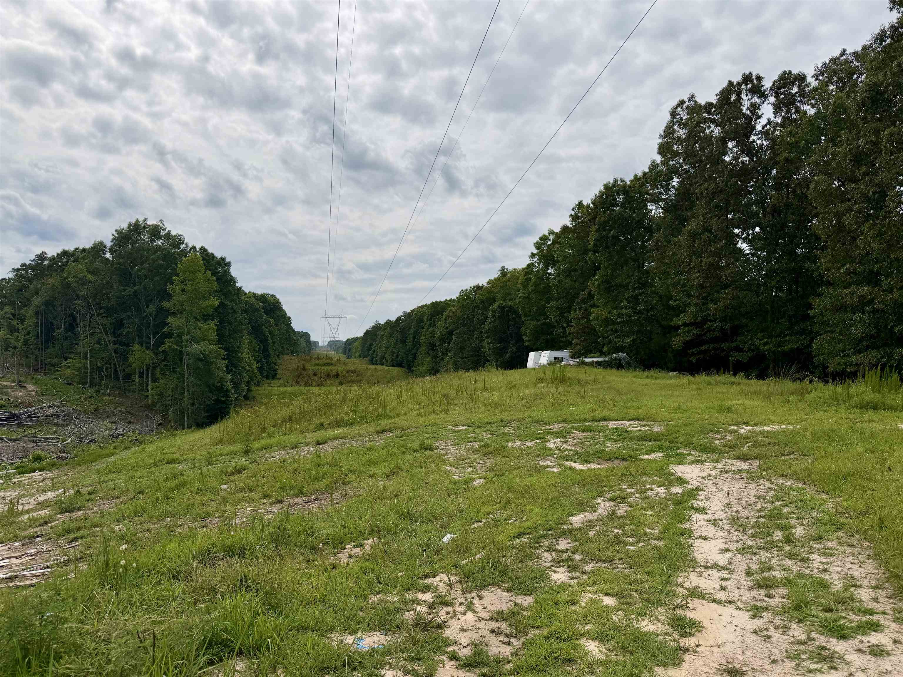 0 Dee Moore Road Selmer, TN 38375 - Photo 8 of 10 a view of outdoor space and yard