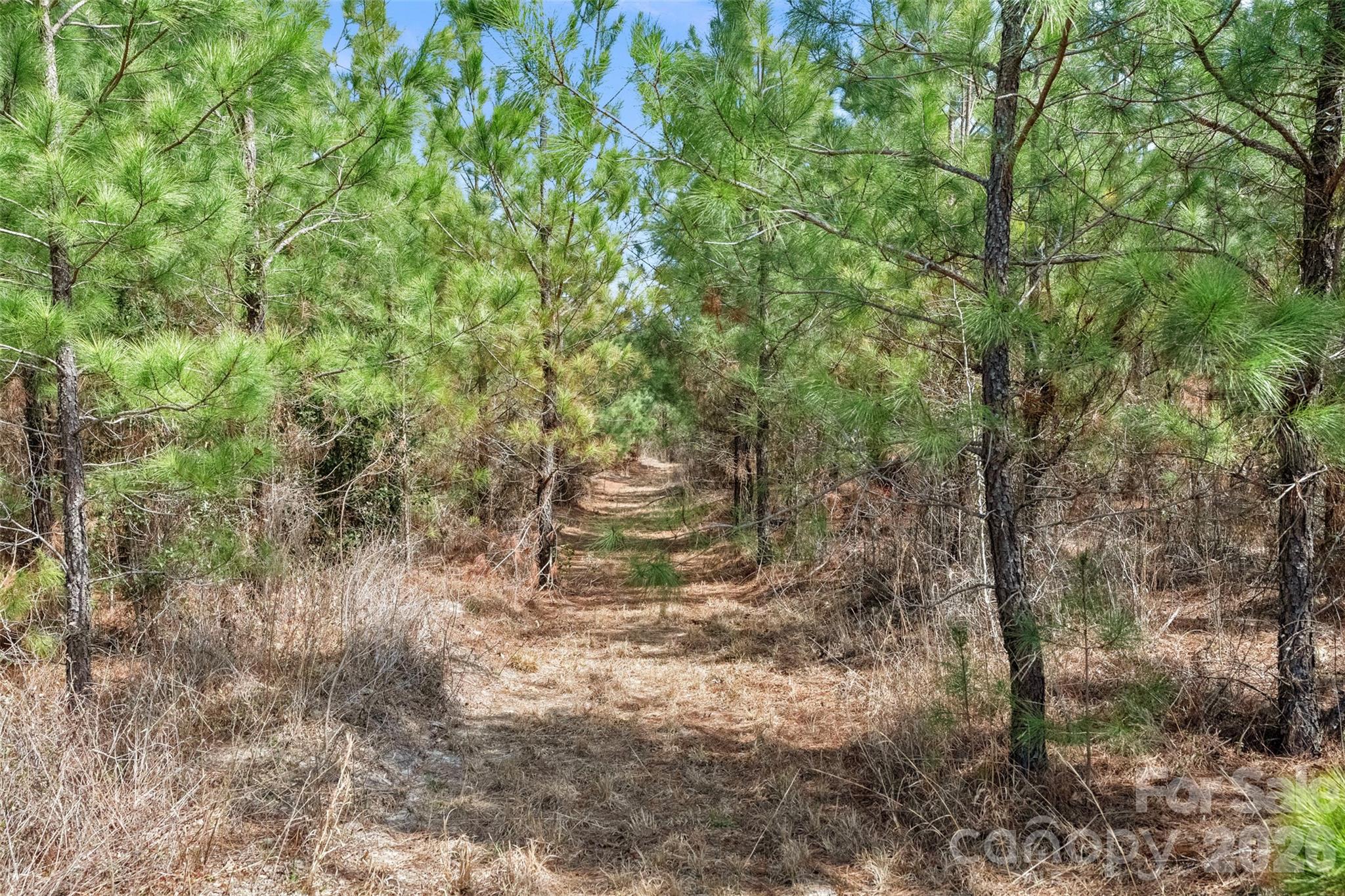 931 Charlie Johnson Road, Unit 11 Kershaw, SC 29067 - Photo 26 of 27 Gallery Image 26