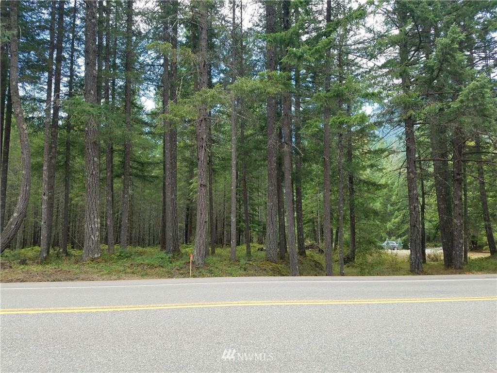 907 Cannon Road Packwood, WA 98361 - Photo 1 of 1 Gallery Image 1