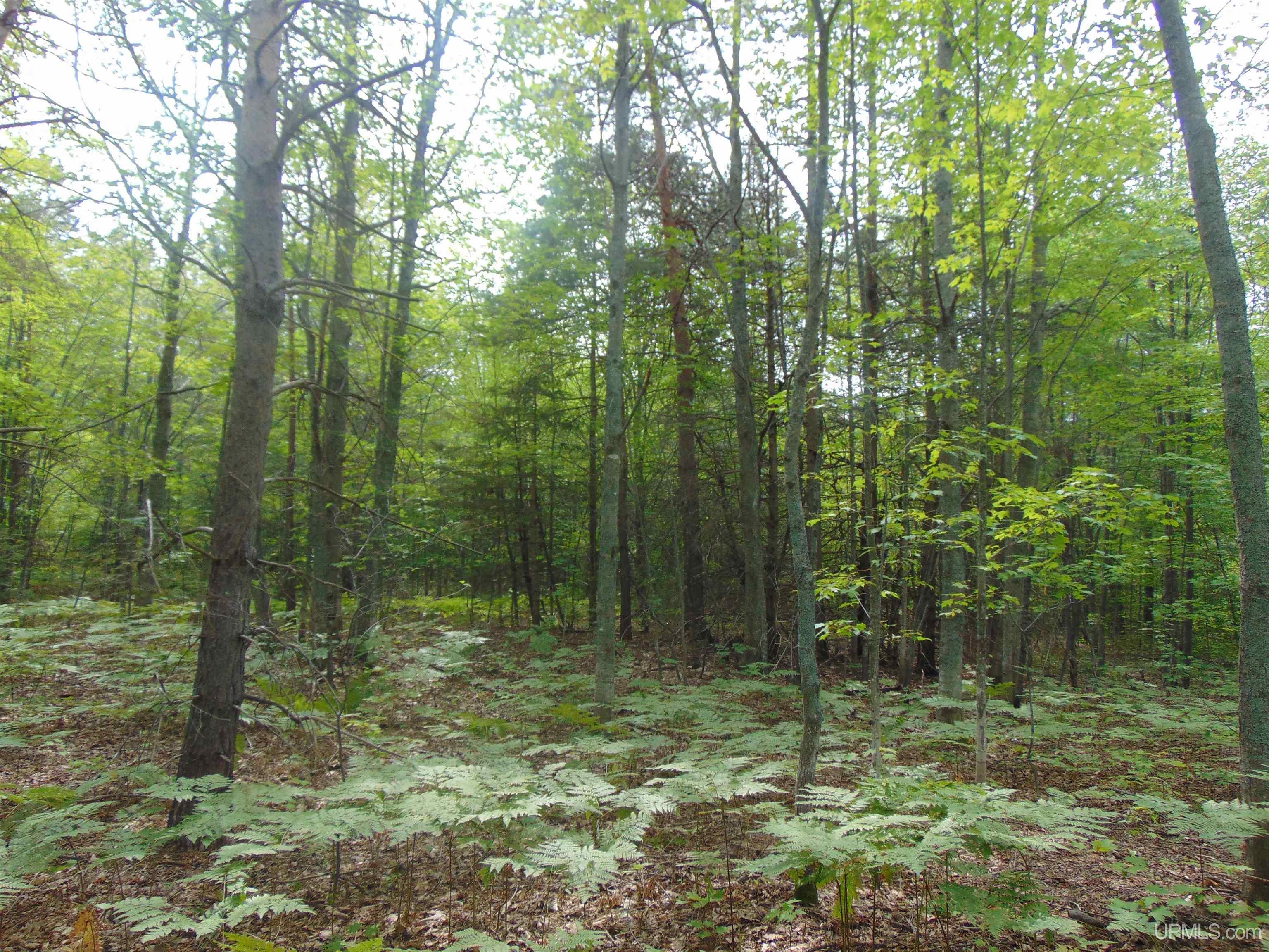 15 Coles Creek Road Atlantic Mine, MI 49905 - Photo 20 of 31
