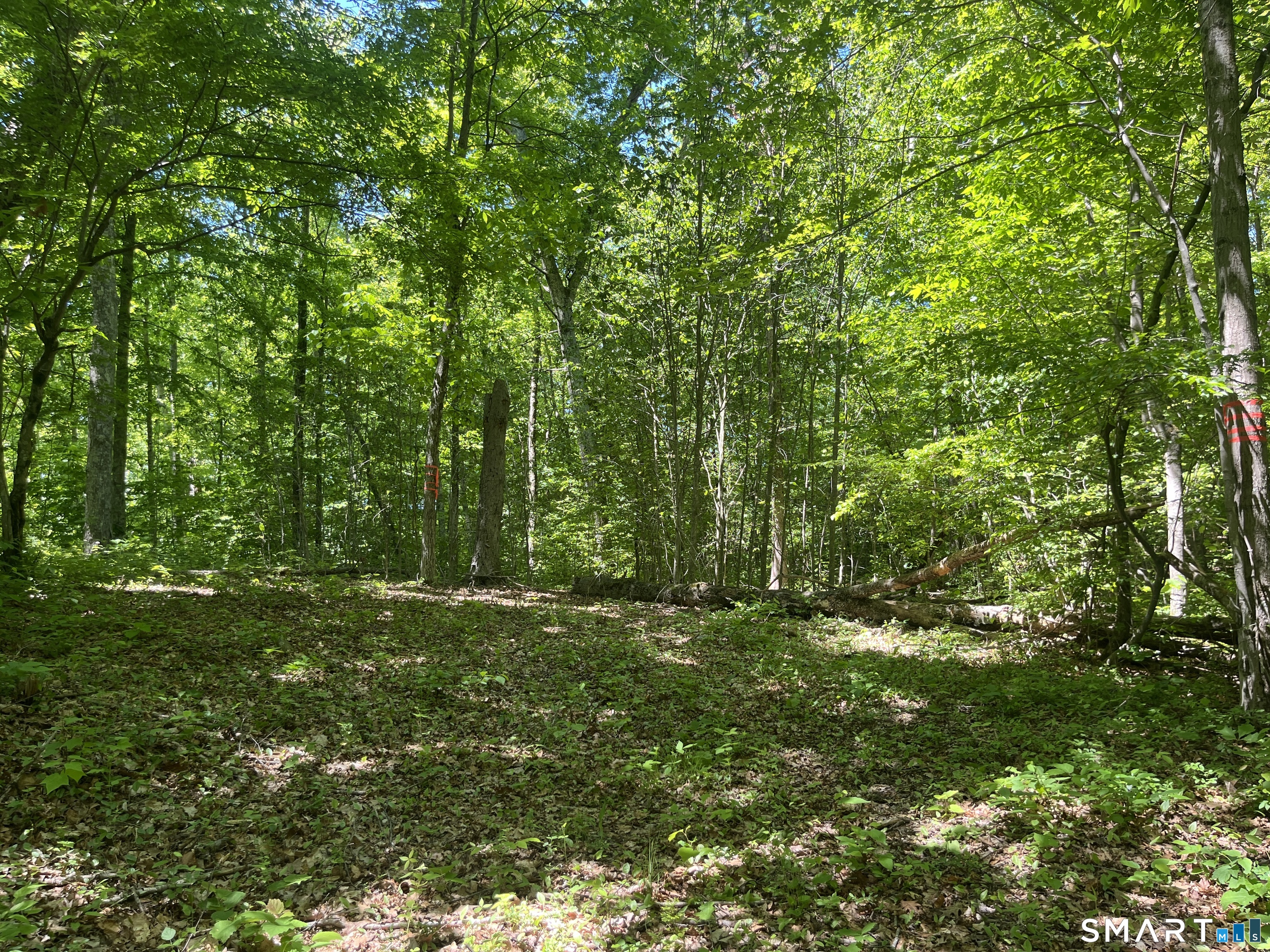 44 Keeler Road Sharon, CT 06069 - Photo 9 of 17
