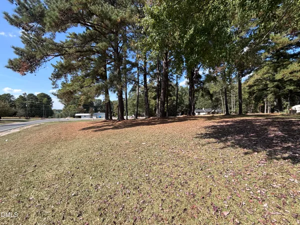 a view of large trees with a yard