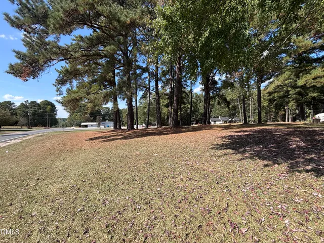a view of large trees with a yard