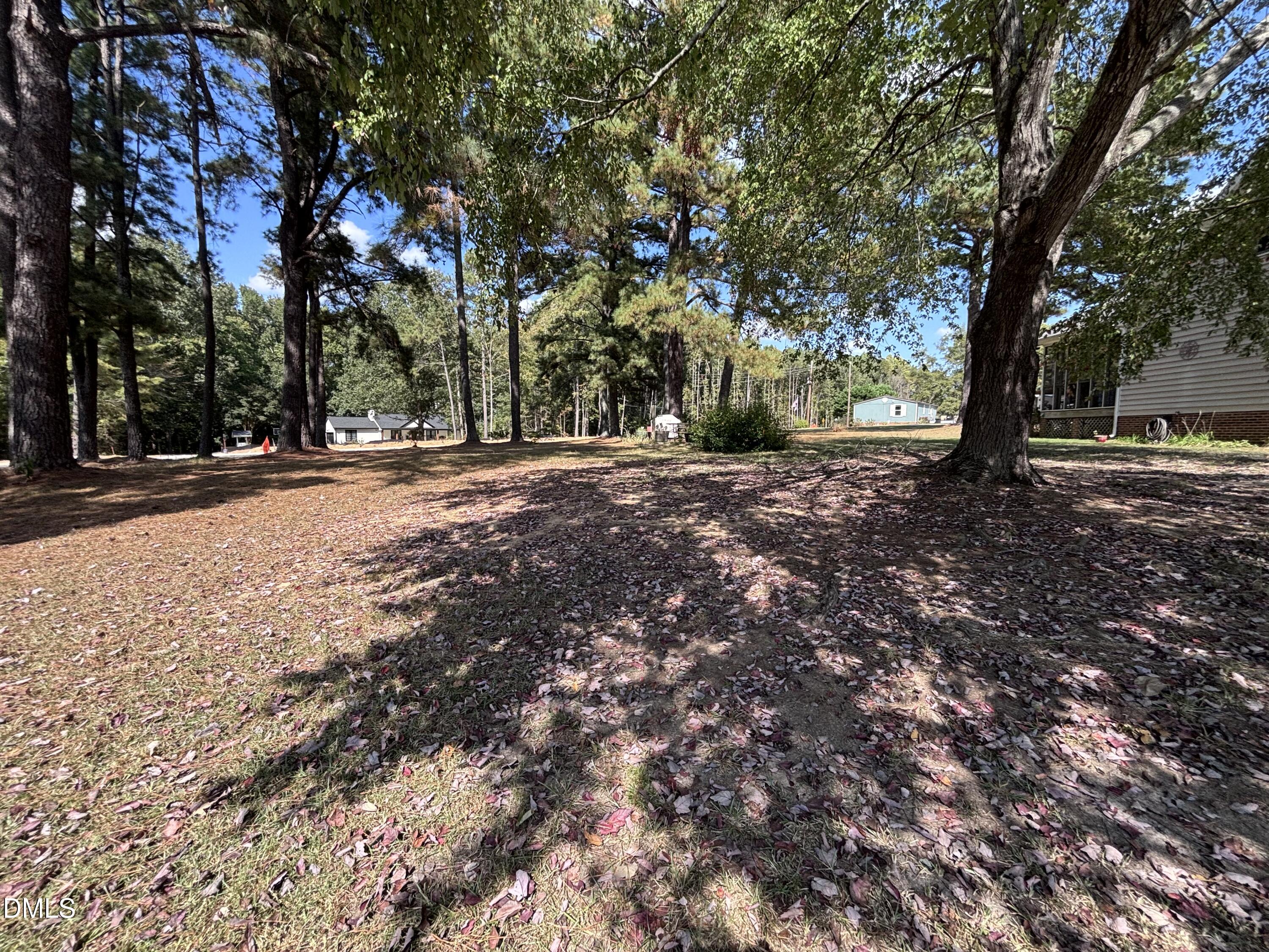 3007 South Smithfield Road Knightdale, NC 27545 - Photo 35 of 68 a view of a tree in the middle of a yard