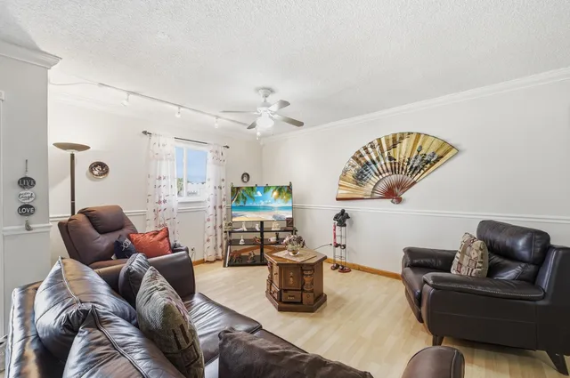 a living room with furniture and a potted plant