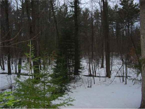 82 Wansor Road Wakefield, NH 03830 - Photo 1 of 1