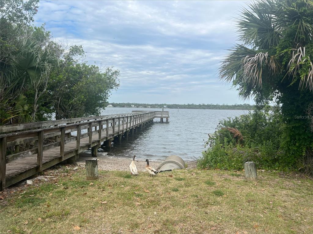 47 Carol Road Ormond Beach, FL 32176 - Photo 52 of 54 a view of a lake with a palm tree
