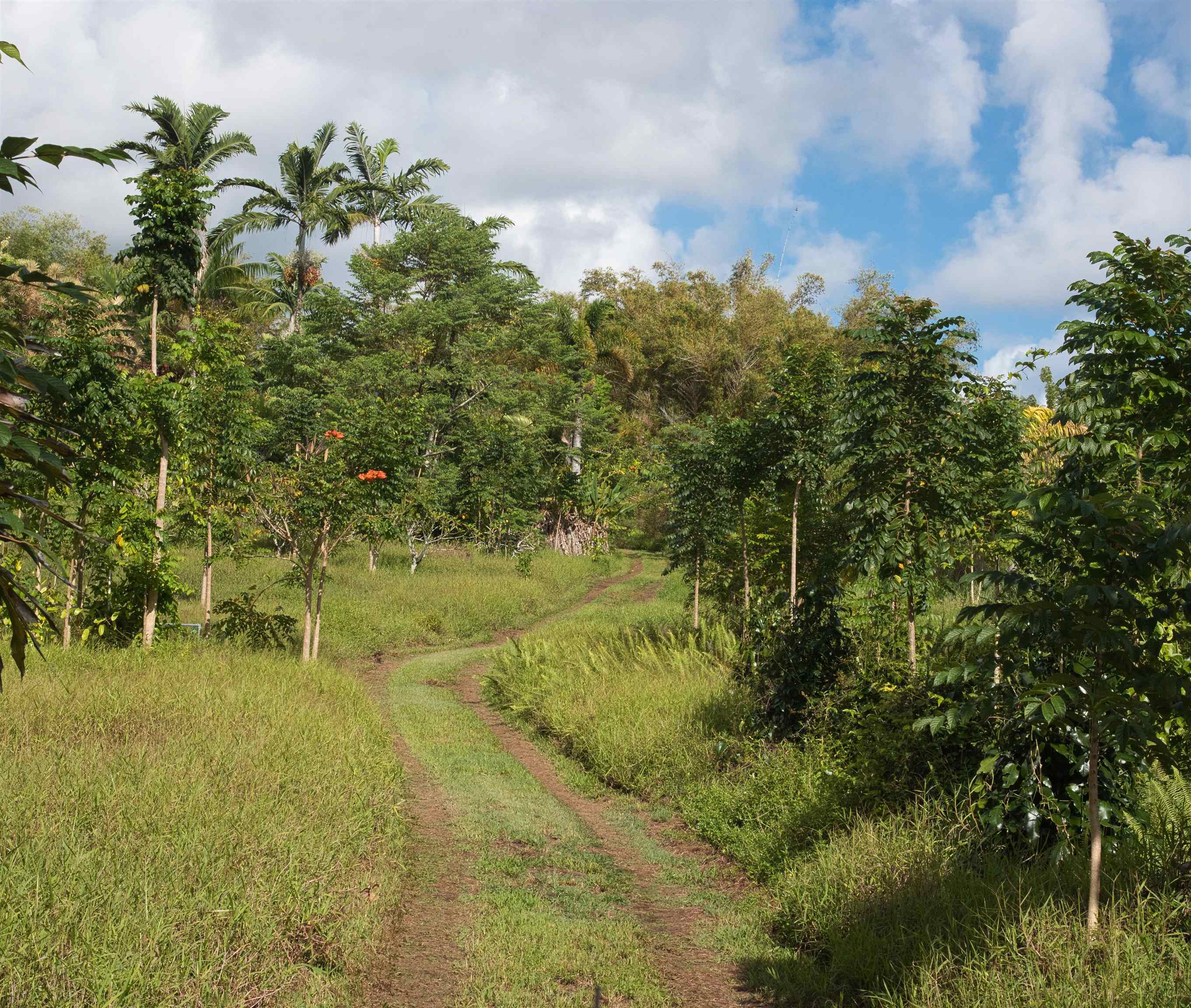 155 Maia Road Hana, HI 96713 - Photo 30 of 50