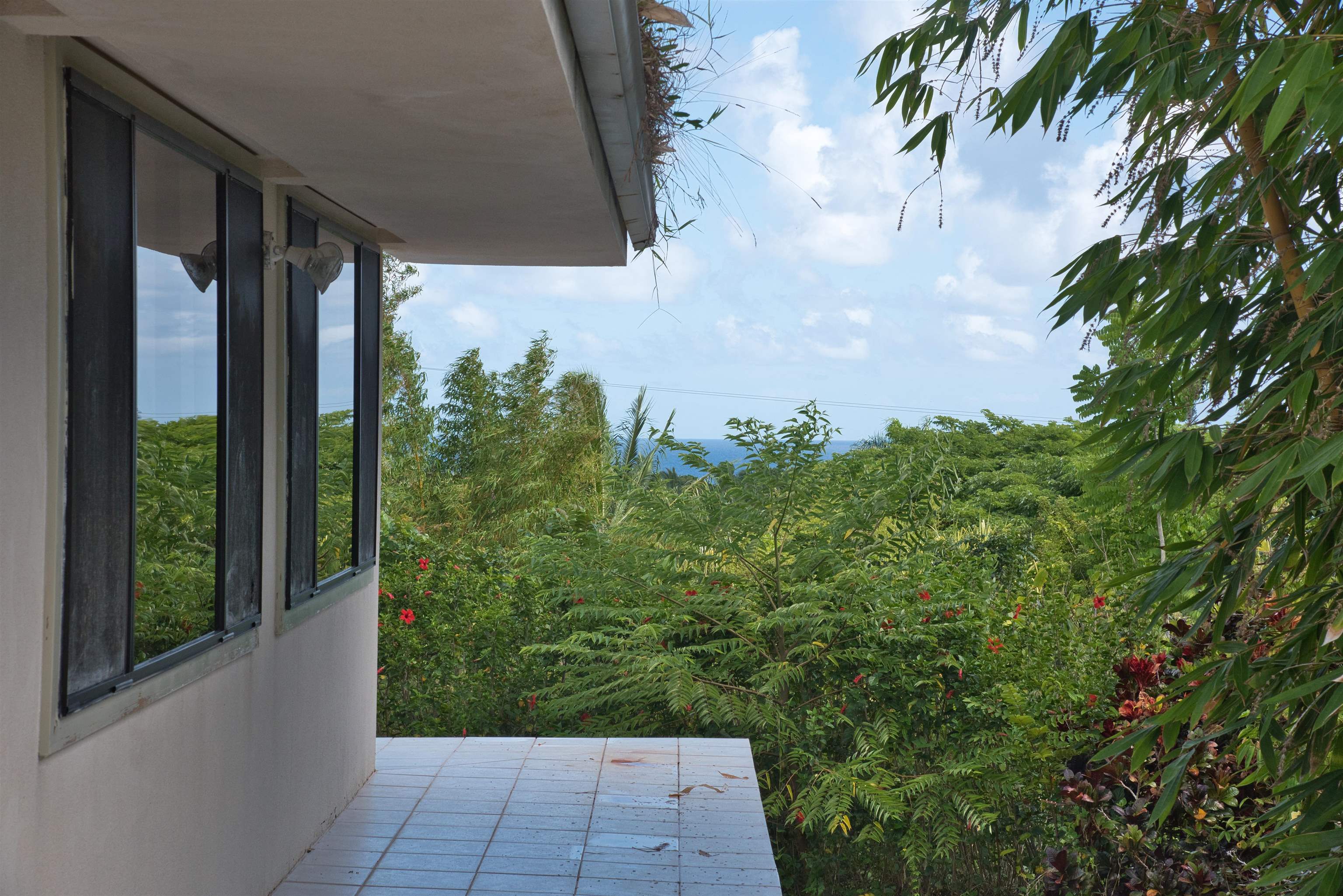 155 Maia Road Hana, HI 96713 - Photo 31 of 50