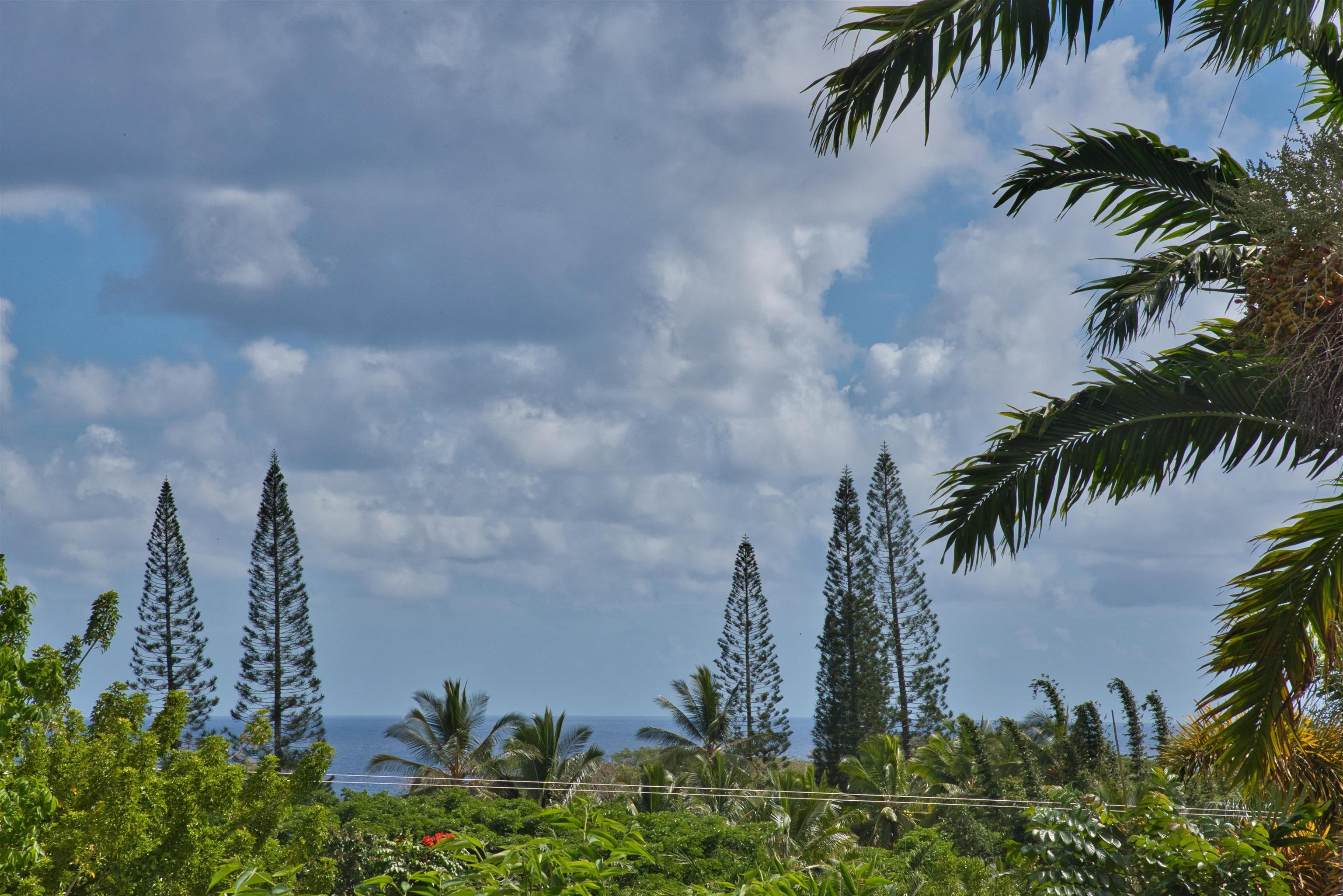 155 Maia Road Hana, HI 96713 - Photo 32 of 50