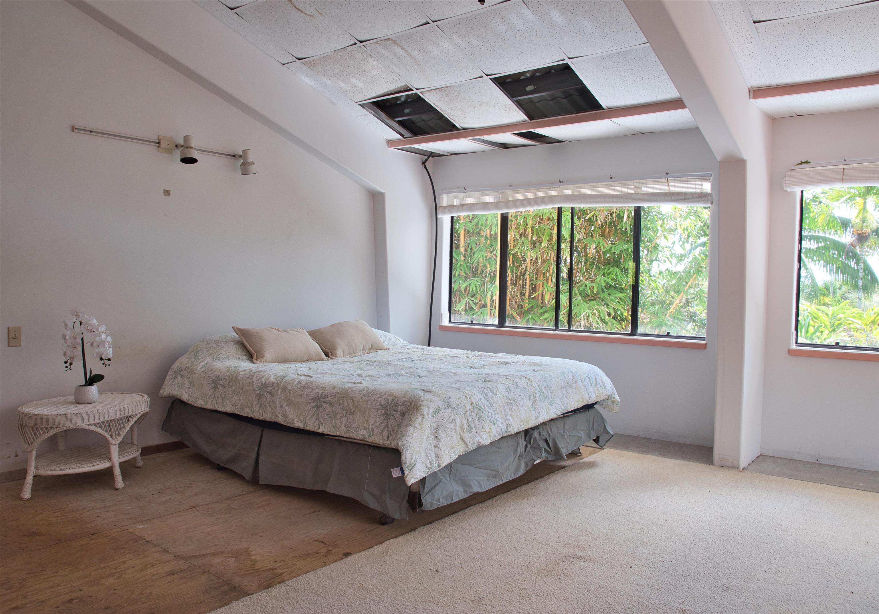 155 Maia Road Hana, HI 96713 - Photo 33 of 50