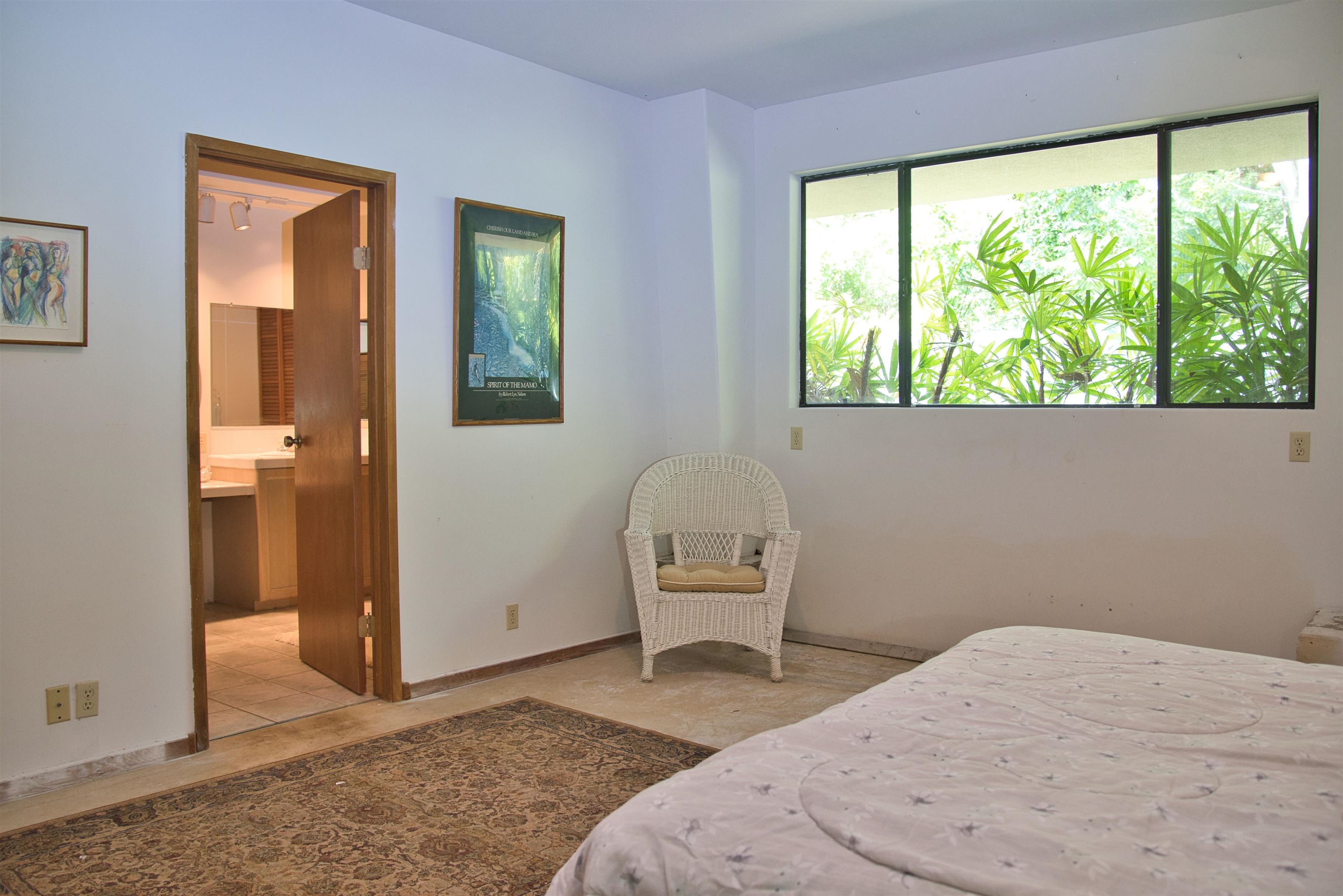 155 Maia Road Hana, HI 96713 - Photo 44 of 50