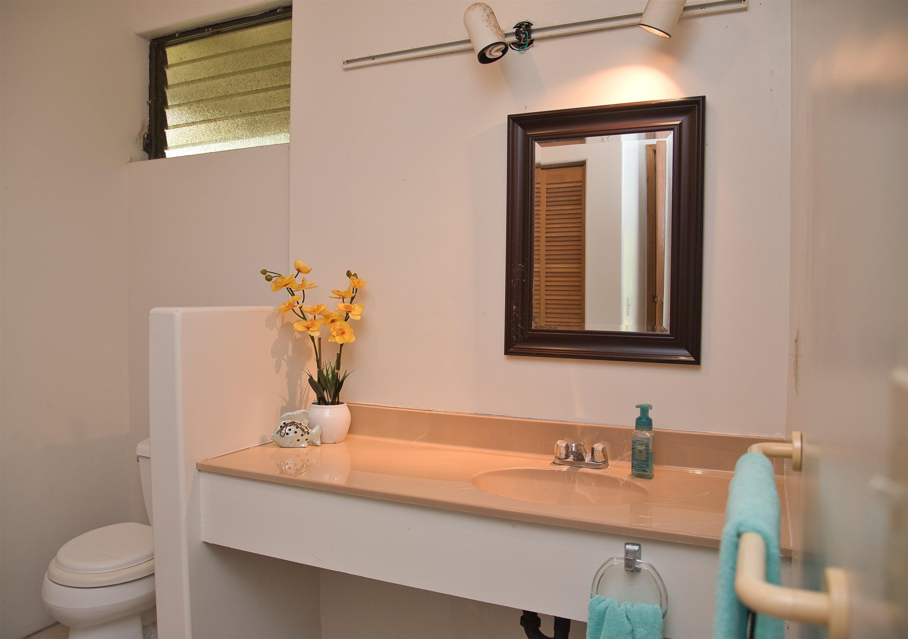155 Maia Road Hana, HI 96713 - Photo 47 of 50