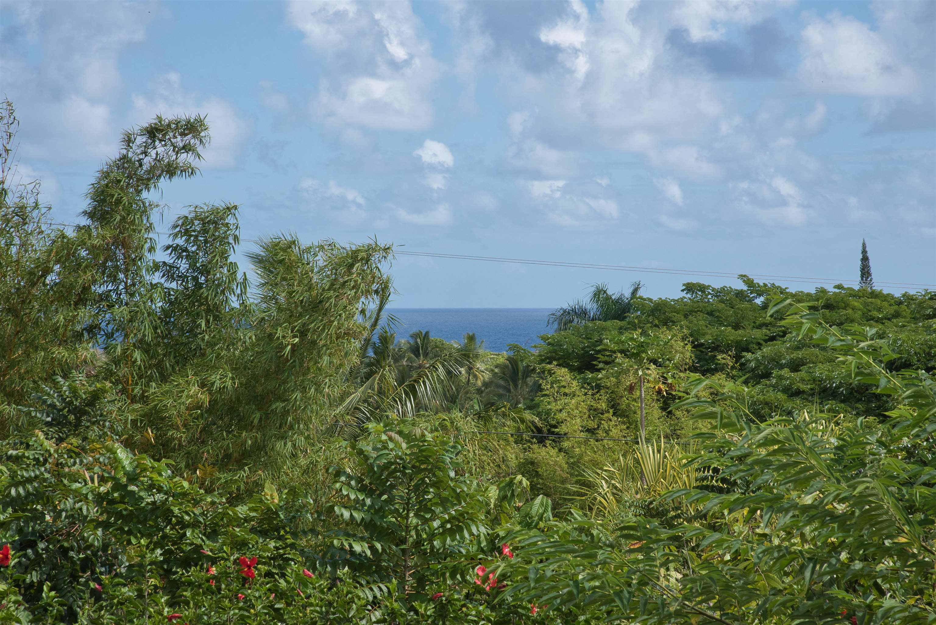 155 Maia Road Hana, HI 96713 - Photo 50 of 50