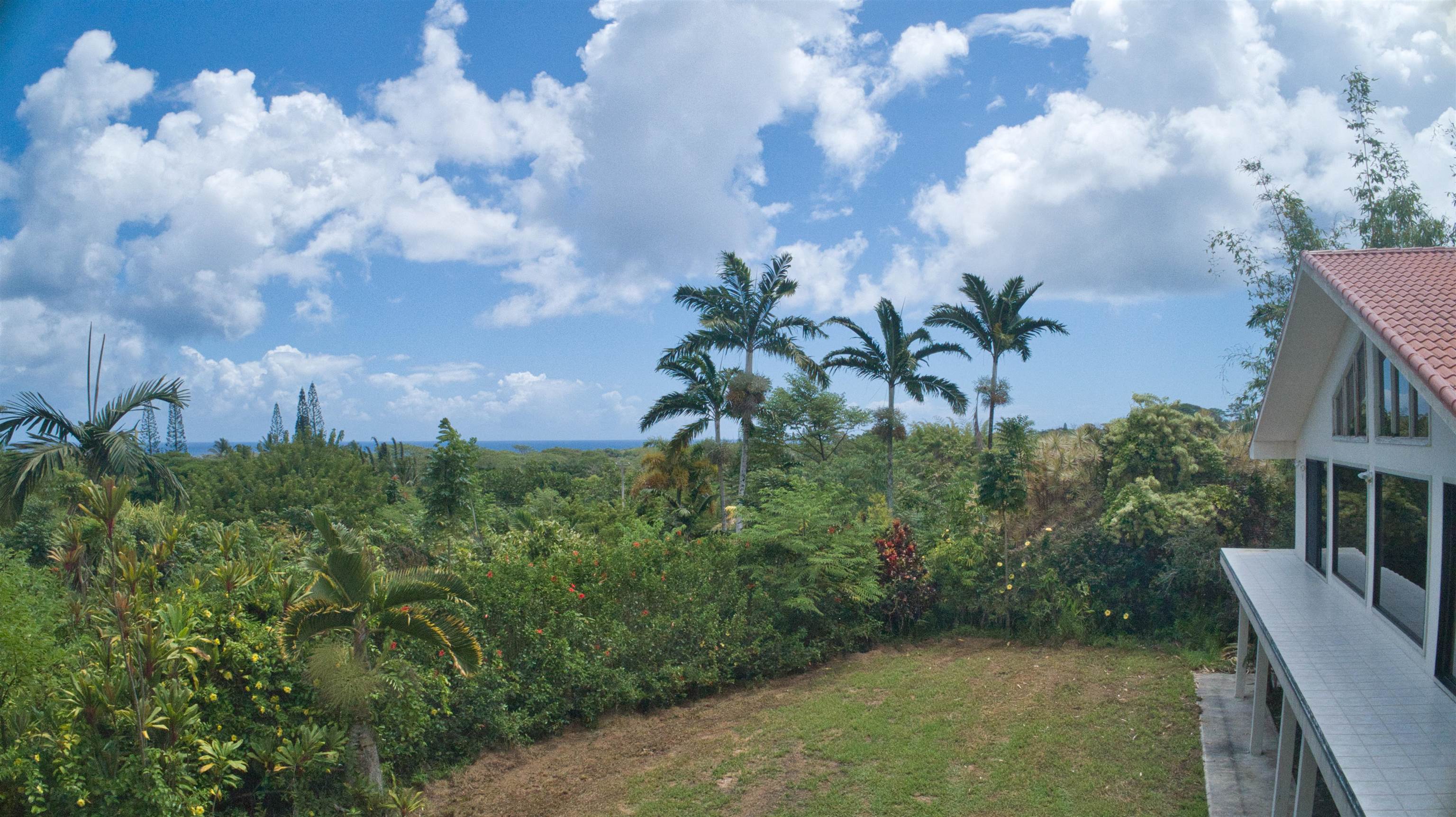 155 Maia Road Hana, HI 96713 - Photo 6 of 50